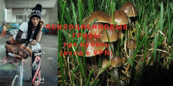 mix Богородицк