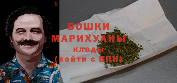 соль ск Богородск