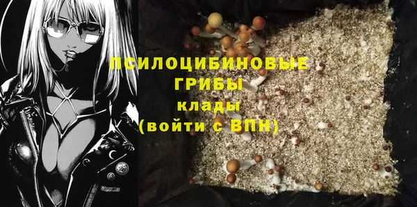 mix Богородицк