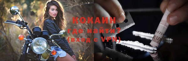 mix Богородицк