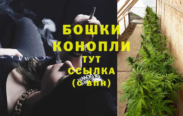 mix Богородицк