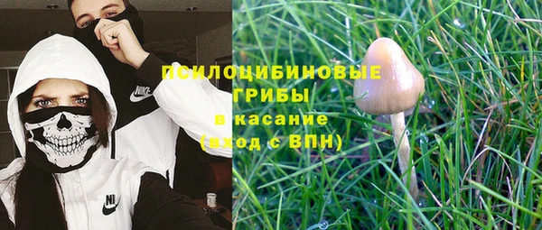 марки nbome Богданович