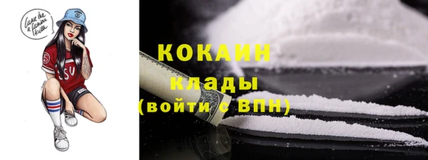 mix Богородицк