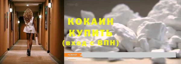 mix Богородицк