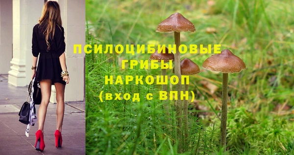 mix Богородицк