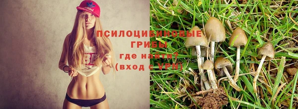 mix Богородицк