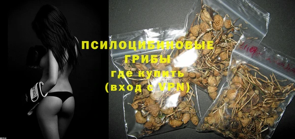 марки nbome Богданович