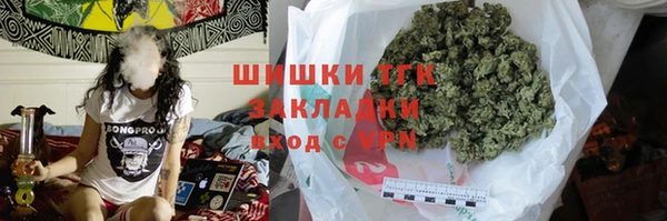 mix Богородицк